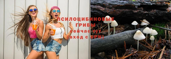 винт Нестеровская