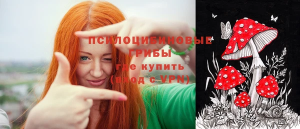 apvp Фёдоровский