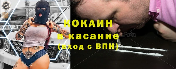 дживик Липки