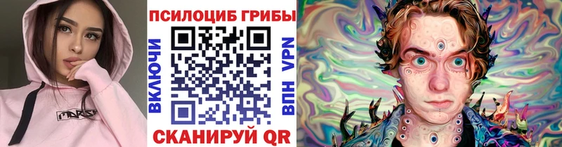 кракен ONION  Владивосток  Галлюциногенные грибы Cubensis 