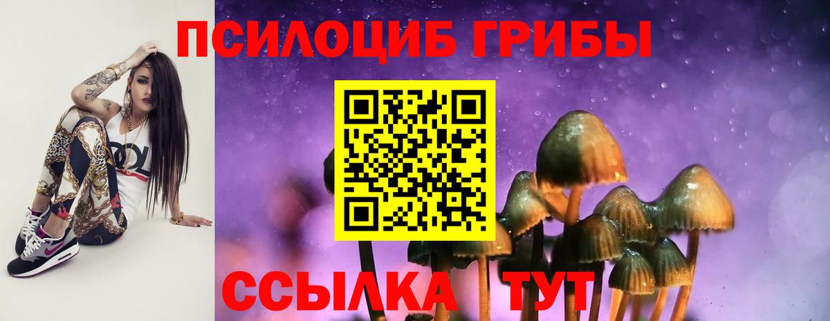 Псилоцибиновые грибы мухоморы Владивосток