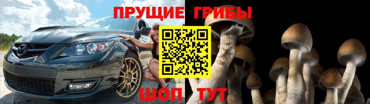Псилоцибиновые грибы GOLDEN TEACHER  Псилоцибиновые грибы Magic Shrooms  Вход с VPN  купить наркотик  Владивосток 