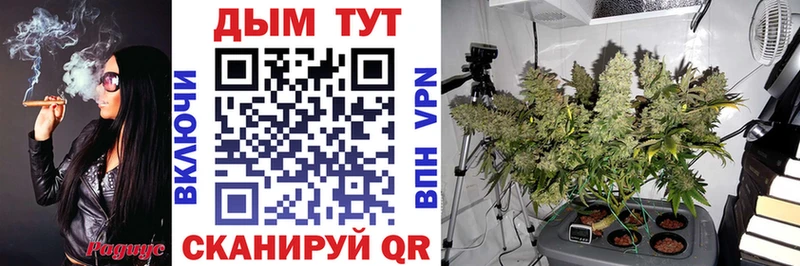 купить наркотики сайты  Владивосток  Канабис планчик 